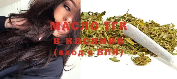 молекула духа Арсеньев