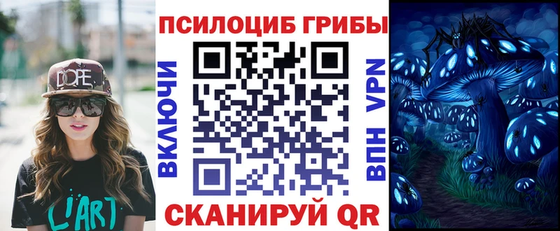 Псилоцибиновые грибы Psilocybine cubensis  Советская Гавань 